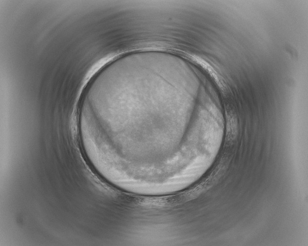 X0000115391466200912151450