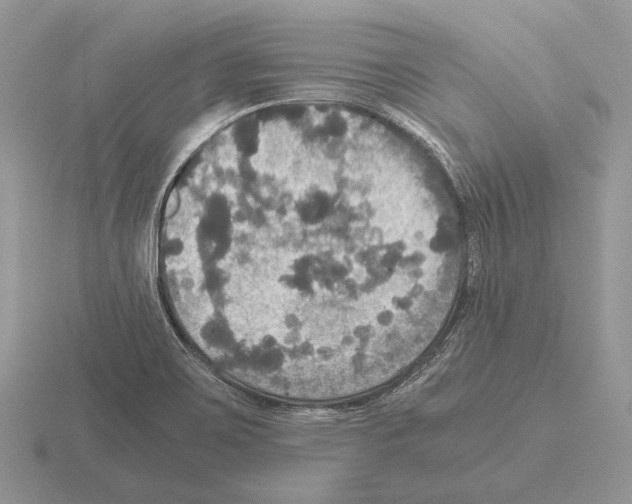 X0000115391467200912151450