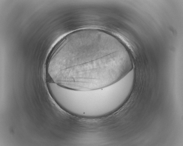 X0000115391468200912151450