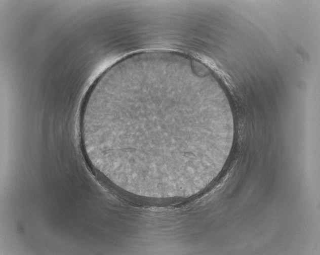 X0000115391469200912151450