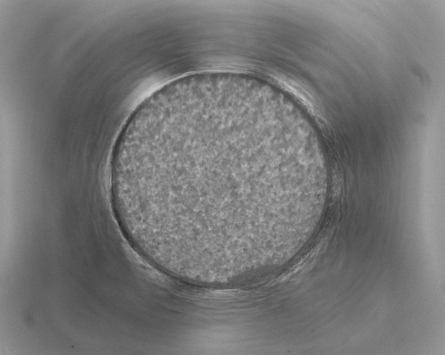 X0000115391471200912151450