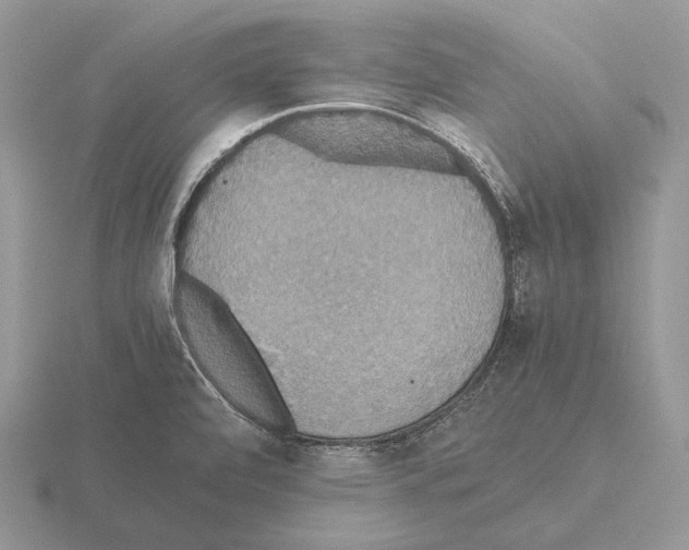 X0000115391472200912151450