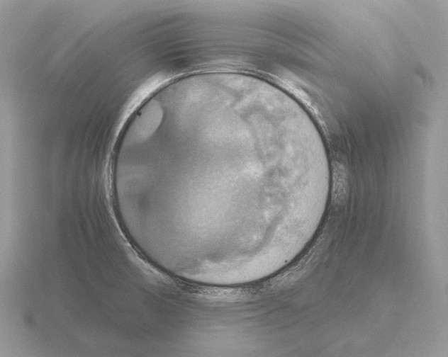 X0000115391474200912151450