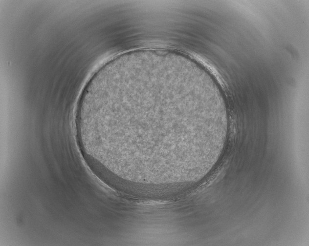 X0000115391475200912151450