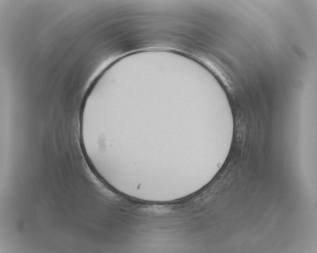 X0000115391476200912151450