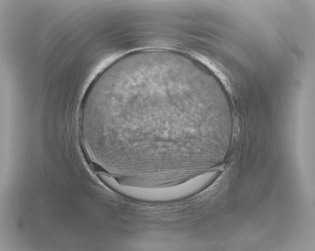 X0000115391477200912151450