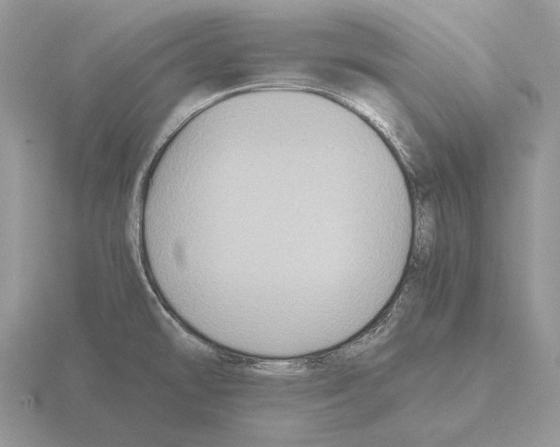 X0000115391478200912151450