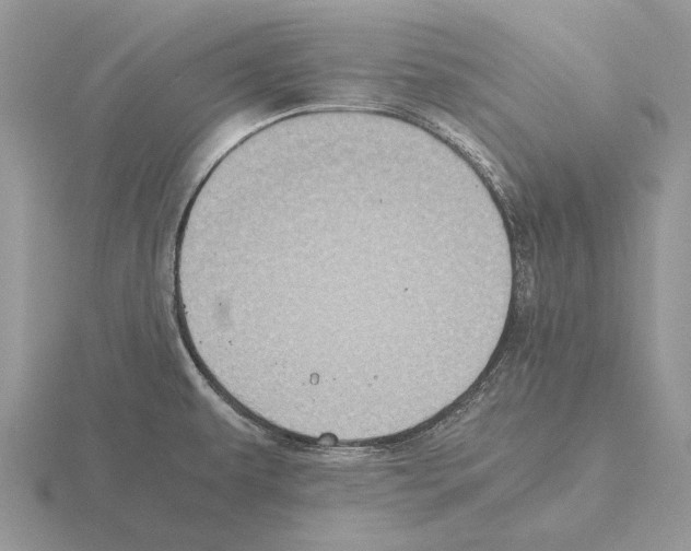 X0000115391479200912151450