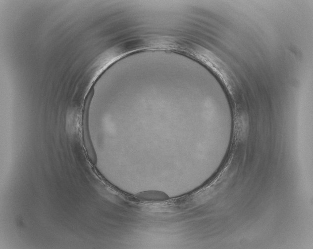 X0000115391481200912151450