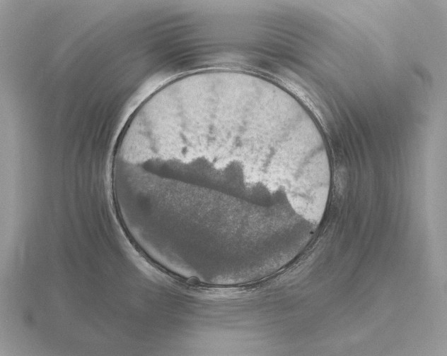 X0000115391482200912151450