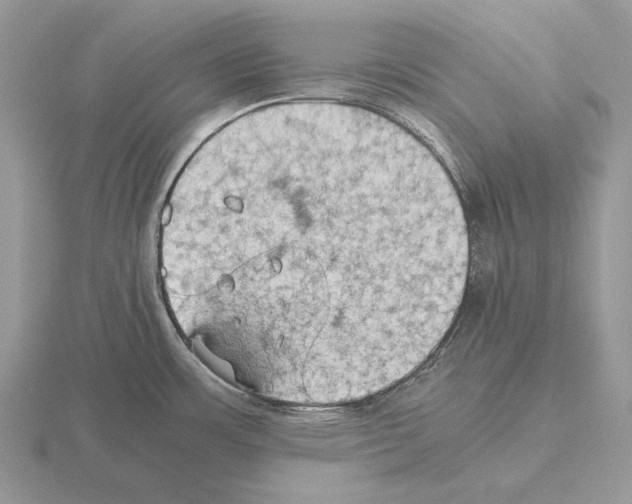 X0000115391483200912151450