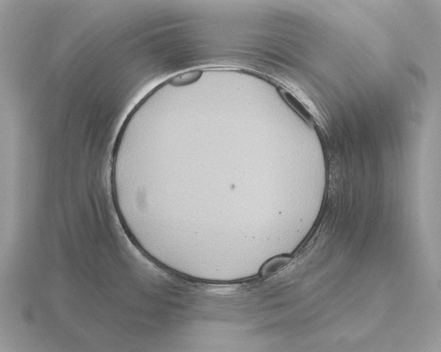 X0000115391484200912151450