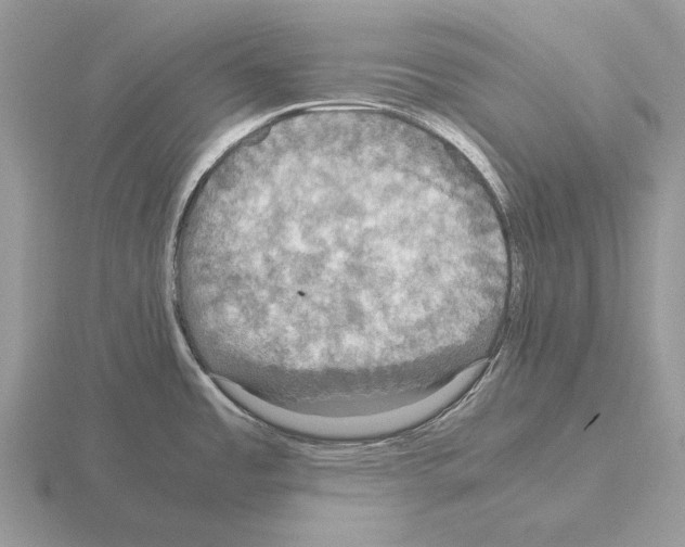 X0000115391485200912151449