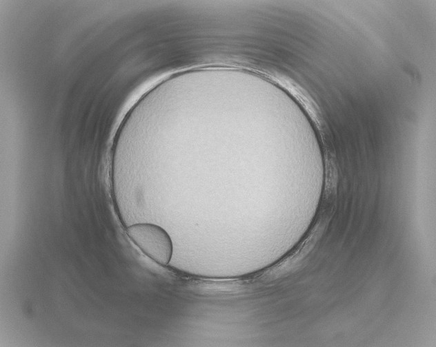 X0000115391486200912151449