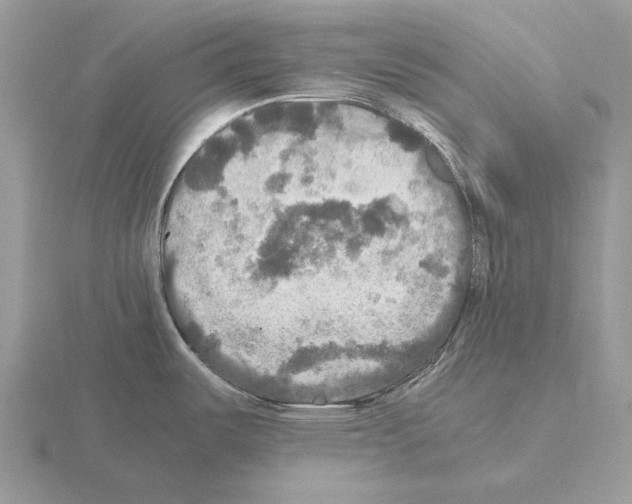 X0000115391487200912151449