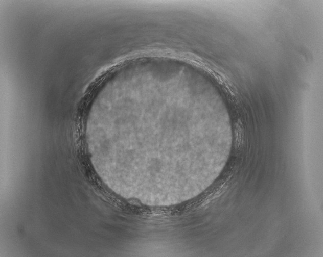 X0000115391494200912151449