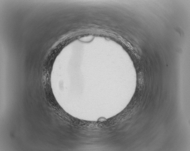 X0000115391495200912151449