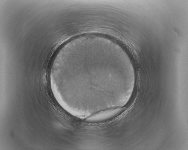 X0000115391497200912151449