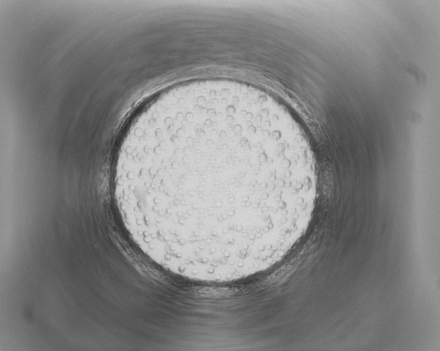 X0000115391499200912151449