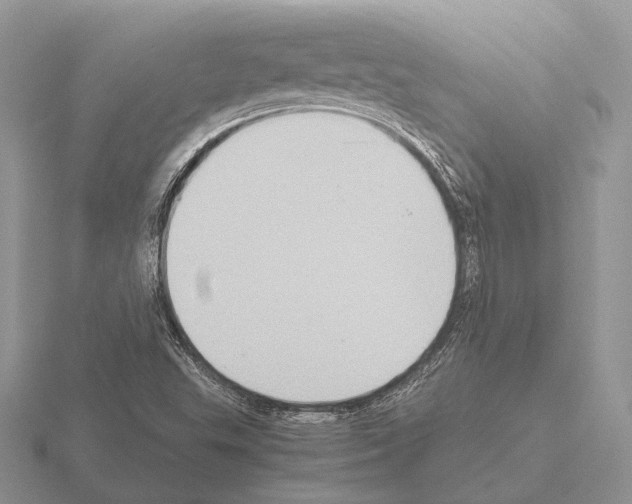 X0000115391503200912151449