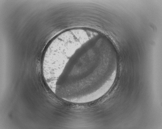 X0000115391505200912151449