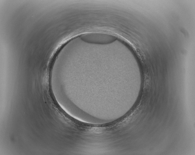 X0000115391506200912151449