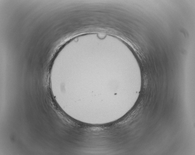 X0000115391507200912151449