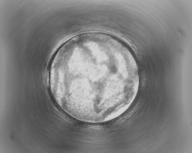 X0000115391509200912151449