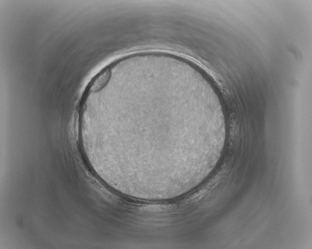 X0000115391510200912151449