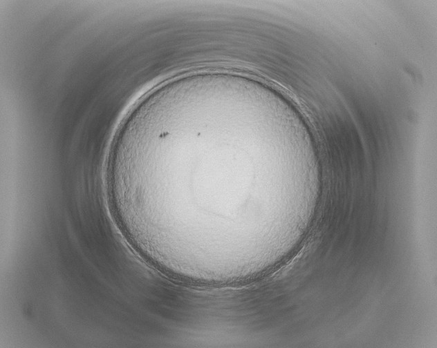 X0000115391514200912151449