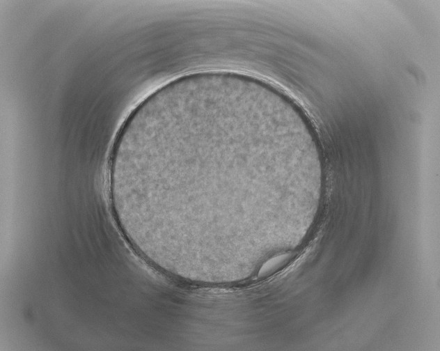 X0000115391517200912151449