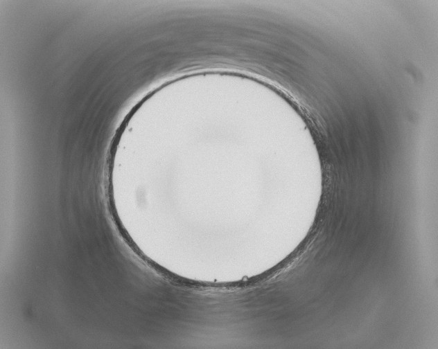 X0000115391518200912151449