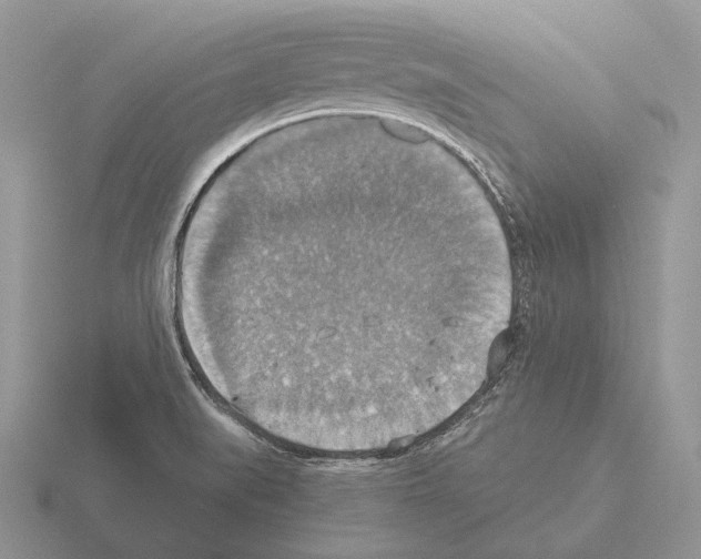 X0000115391519200912151449