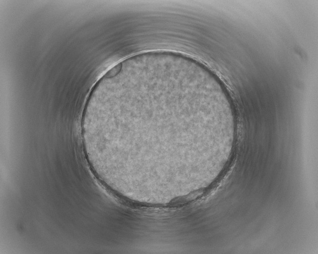 X0000115391521200912151449