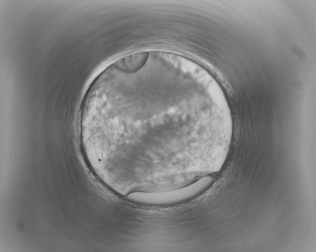 X0000115391522200912151449