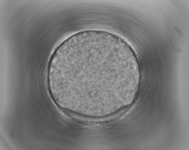 X0000115391525200912151449