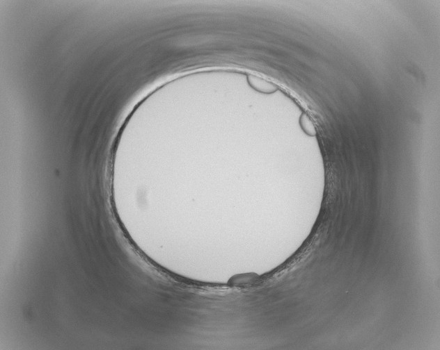 X0000115391526200912151449