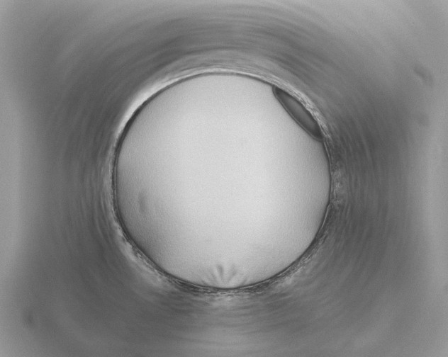 X0000115391530200912151449