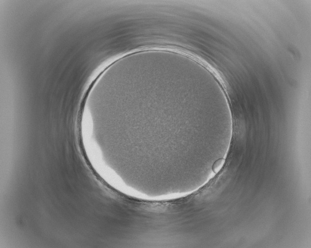 X0000115391533200912151449