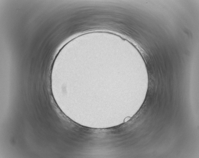 X0000115391534200912151449