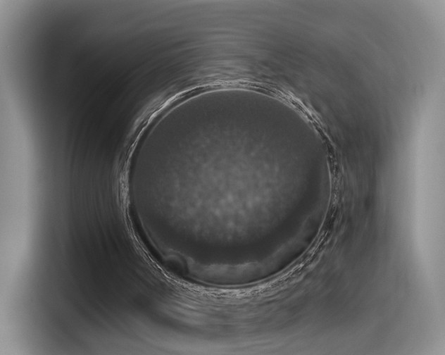 X0000115400002200911101521