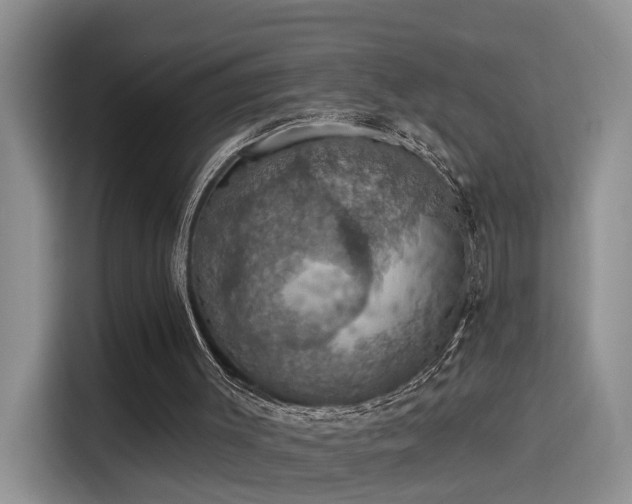 X0000115400003200911101521