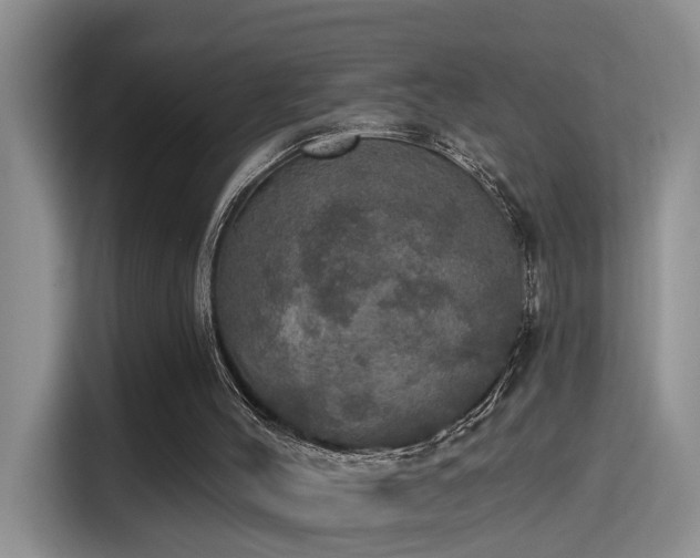 X0000115400004200911101521