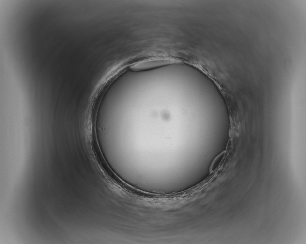 X0000115400005200911101521