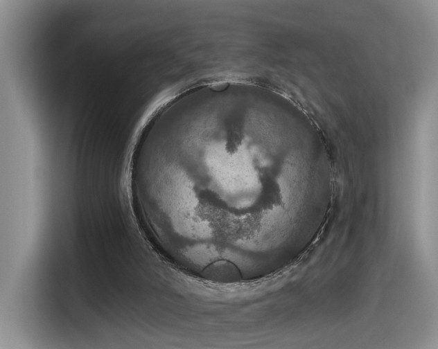 X0000115400006200911101521
