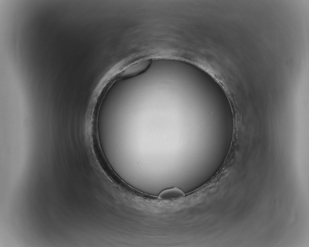 X0000115400007200911101521