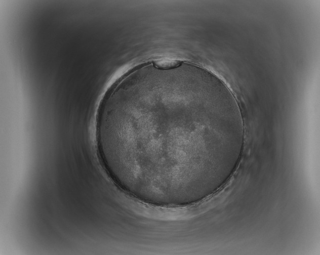 X0000115400008200911101521