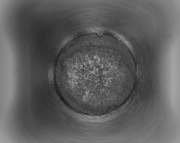 X0000115400010200911101521