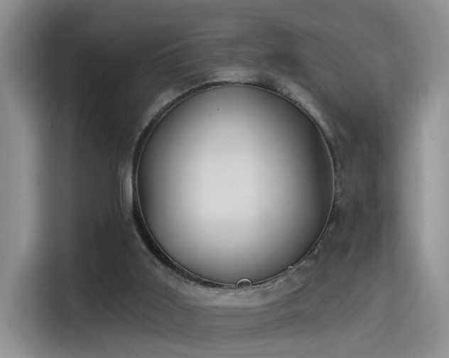 X0000115400011200911101521
