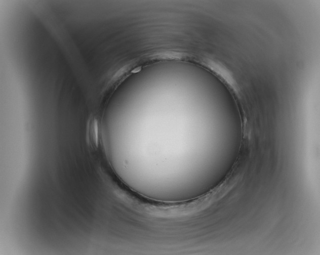X0000115400013200911101521